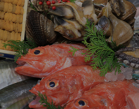 魚類/水産加工物