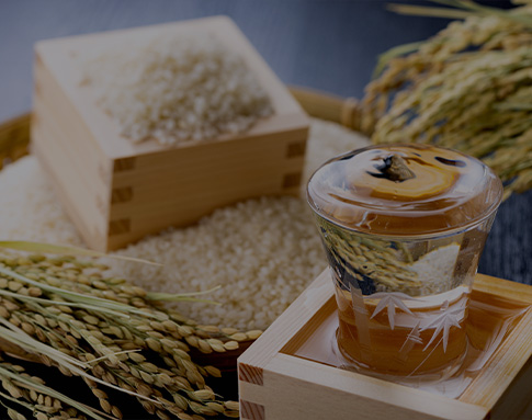 野菜/果物/酒類/米