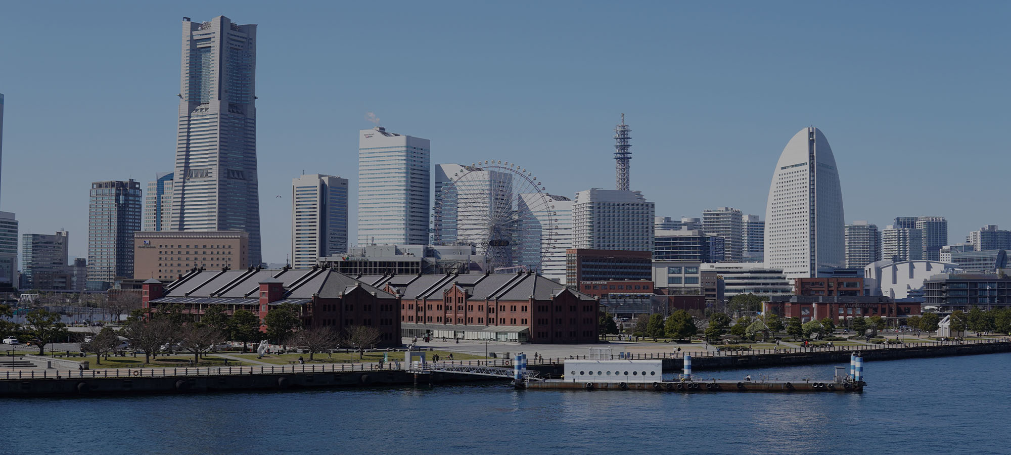 人と人を繋げる貿易を。株式会社ショーライ